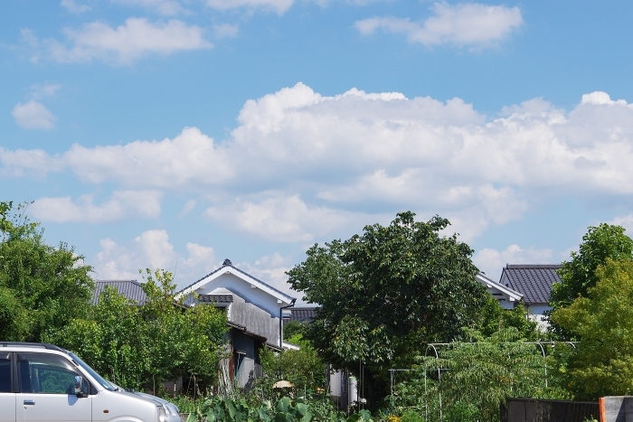 c0281841_13263994.jpg