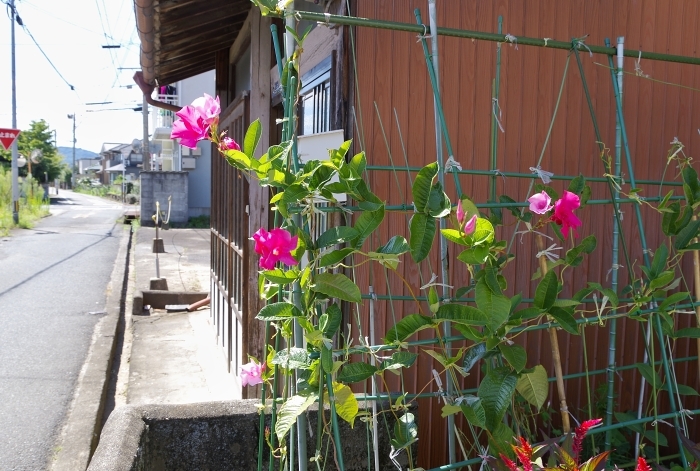 c0281841_13265119.jpg