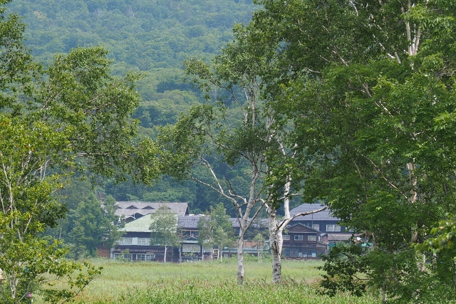 b0189948_2263120.jpg