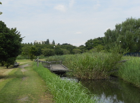 e0172950_20385036.jpg