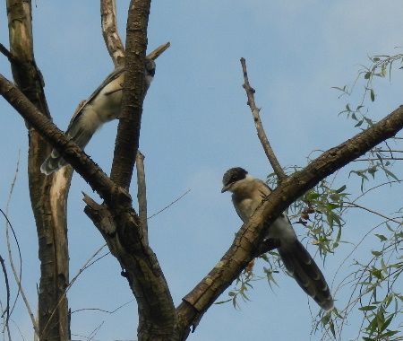 e0172950_20435370.jpg