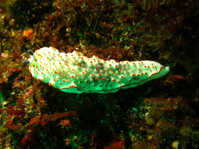 e0184067_18164650.jpg