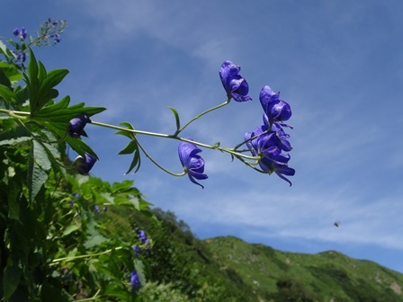 c0303868_11125660.jpg