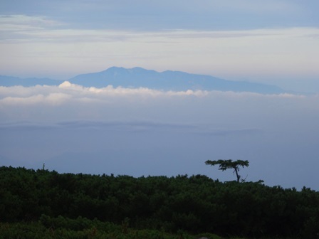 c0303868_11225701.jpg