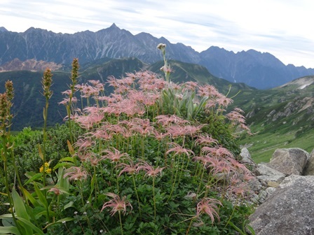 c0303868_11251676.jpg