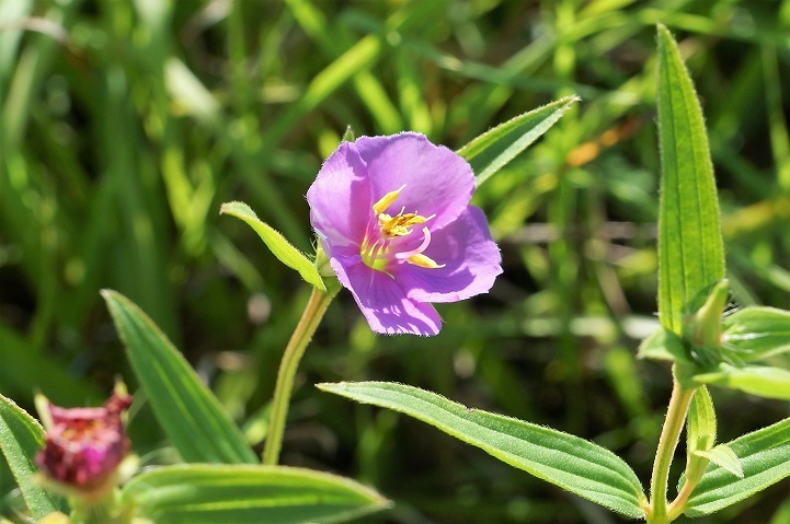 c0248473_19570154.jpg
