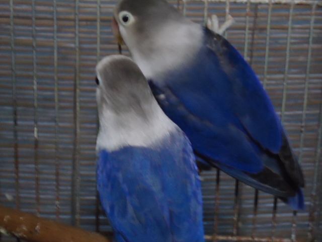 f0244784_18351128.jpg