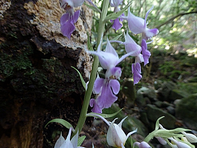 f0357487_022258.jpg