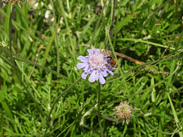 f0357487_0334581.jpg