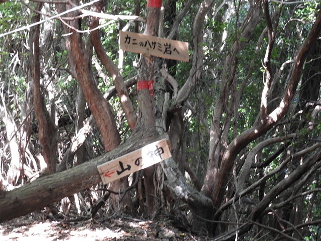 f0357487_0343397.jpg