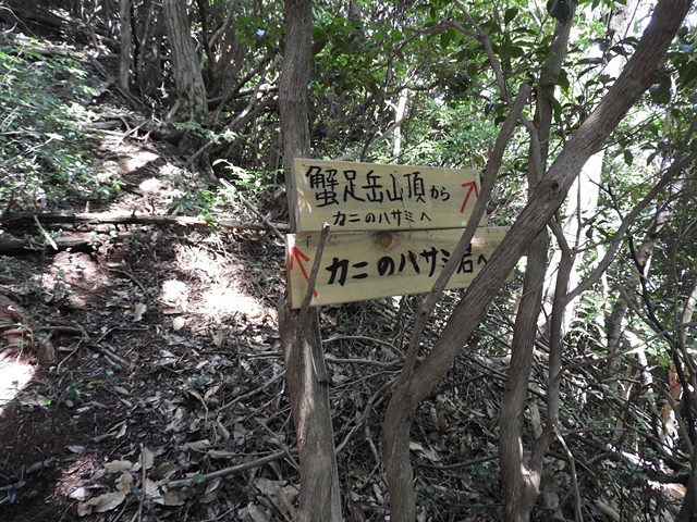 f0357487_0351343.jpg