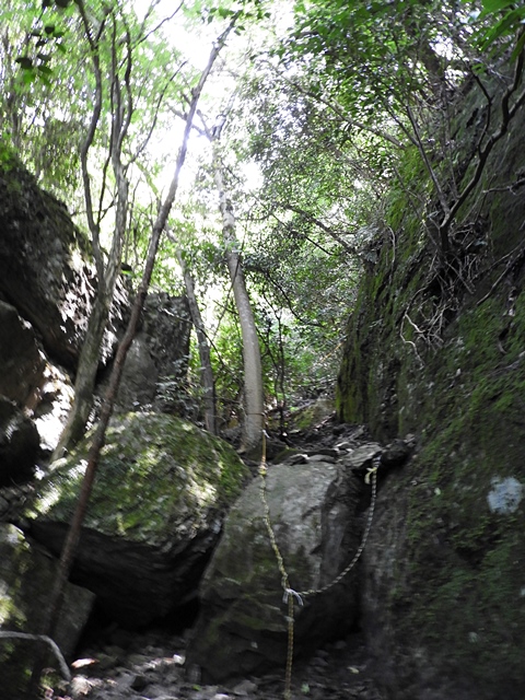 f0357487_0411824.jpg