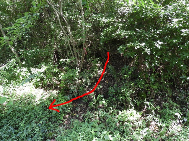 f0357487_042611.jpg