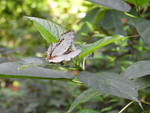 f0357487_0533338.jpg