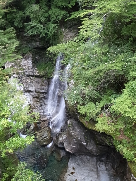f0197703_12170767.jpg