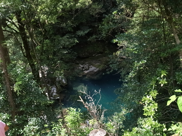 f0197703_12235863.jpg
