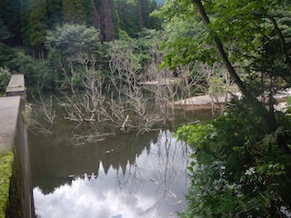 c0359615_21522285.jpg