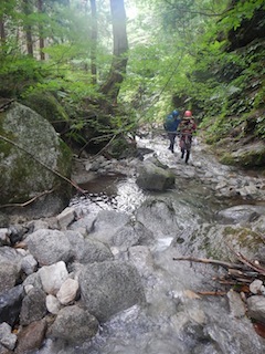c0359615_21523441.jpg