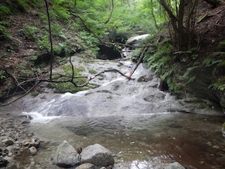 c0359615_21524861.jpg