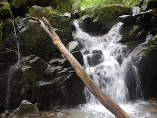 c0359615_21530797.jpg