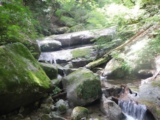 c0359615_21533223.jpg