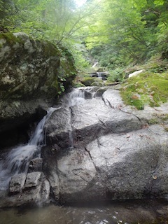 c0359615_21535259.jpg