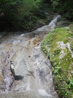c0359615_21541461.jpg