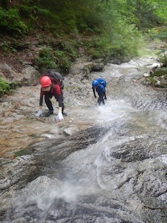 c0359615_21543438.jpg