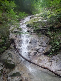 c0359615_21545012.jpg