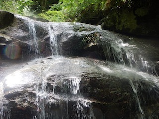 c0359615_21554613.jpg