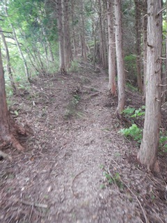 c0359615_21592199.jpg