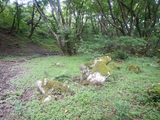 c0359615_22000439.jpg