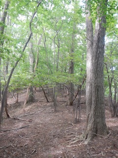 c0359615_22001985.jpg
