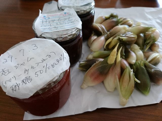 c0317717_17065317.jpg
