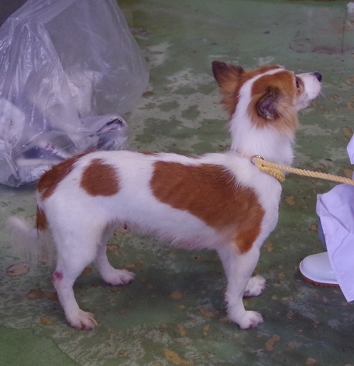 f0078320_03053055.jpg