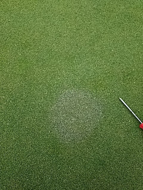 f0227321_22244213.jpg