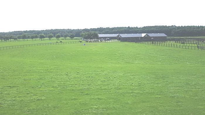 e0047322_14135102.jpg