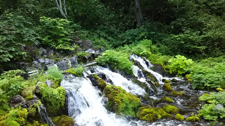 e0047322_23052517.jpg