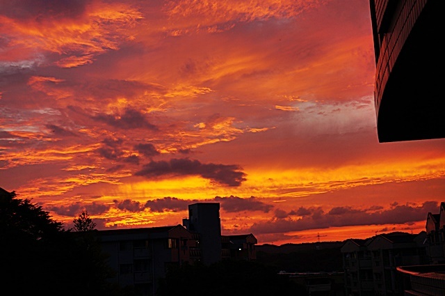 b0068423_20295364.jpg