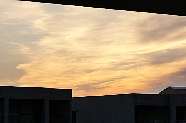 b0068423_20331890.jpg