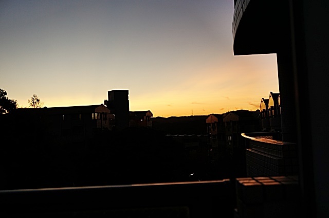 b0068423_20375329.jpg
