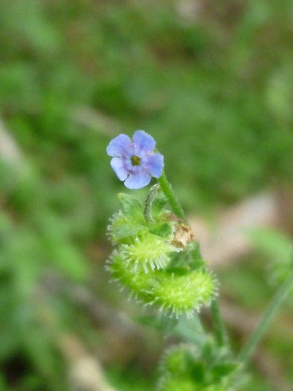 b0298935_17344878.jpg
