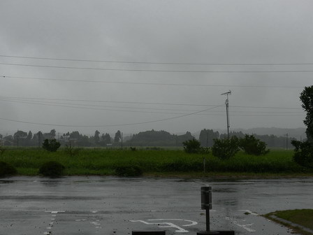 a0123836_17273937.jpg