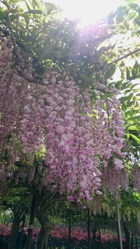 f0202137_20085104.jpg