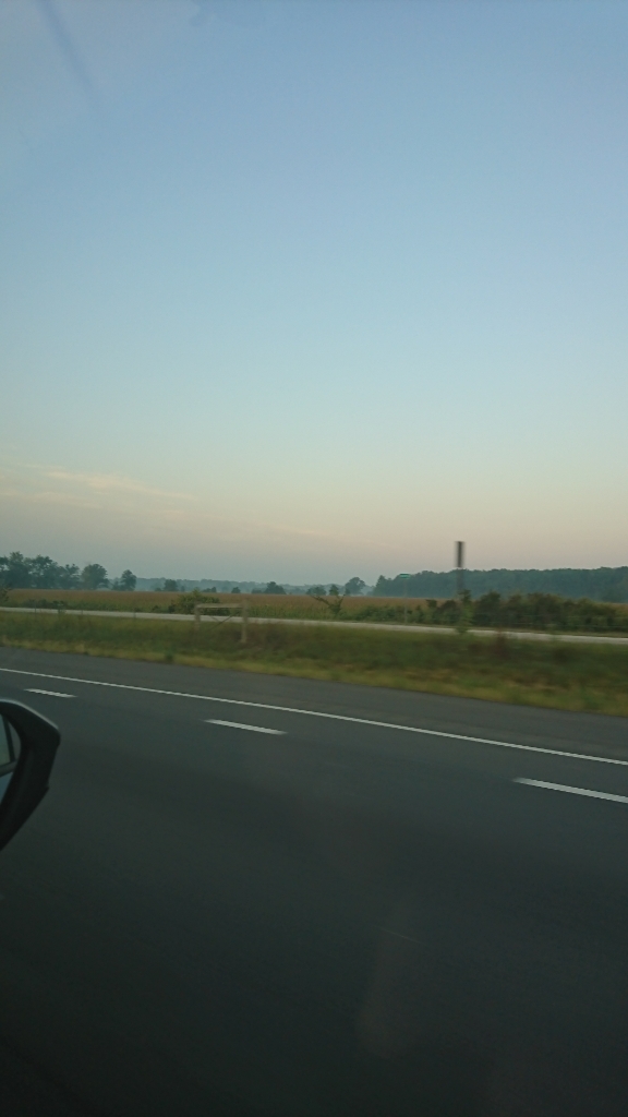 a0074543_22583488.jpg