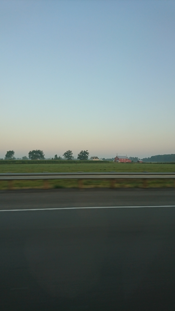 a0074543_22583751.jpg