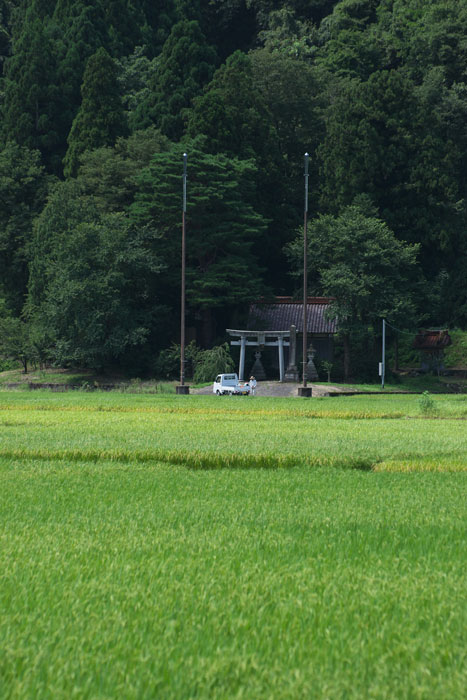 d0342652_12202274.jpg