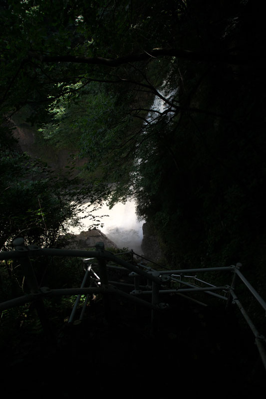 d0342652_122123.jpg
