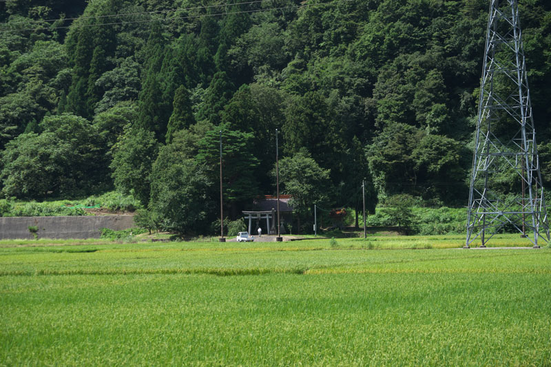 d0342652_1221439.jpg