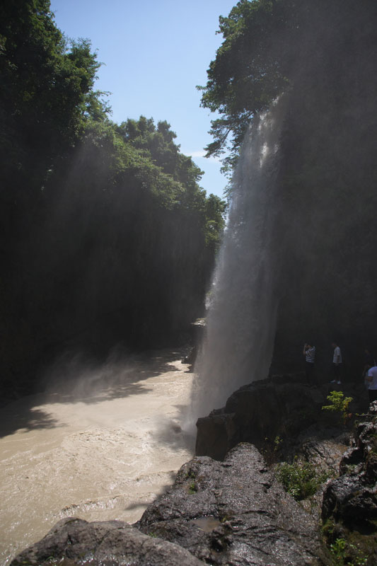 d0342652_1251279.jpg